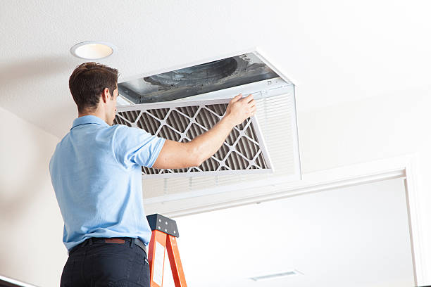 Best Air Filters and Purifiers in Warren, MI
